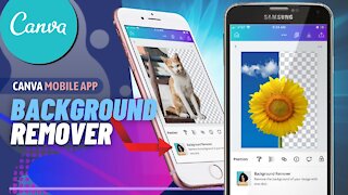 How To Remove Backgrounds In The Canva Mobile App