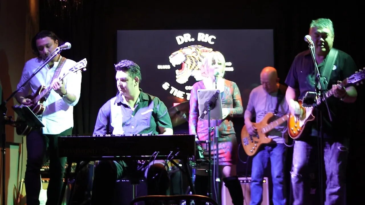 Dr Ric Live: River Deep Mountain High, Tina Turner Cover