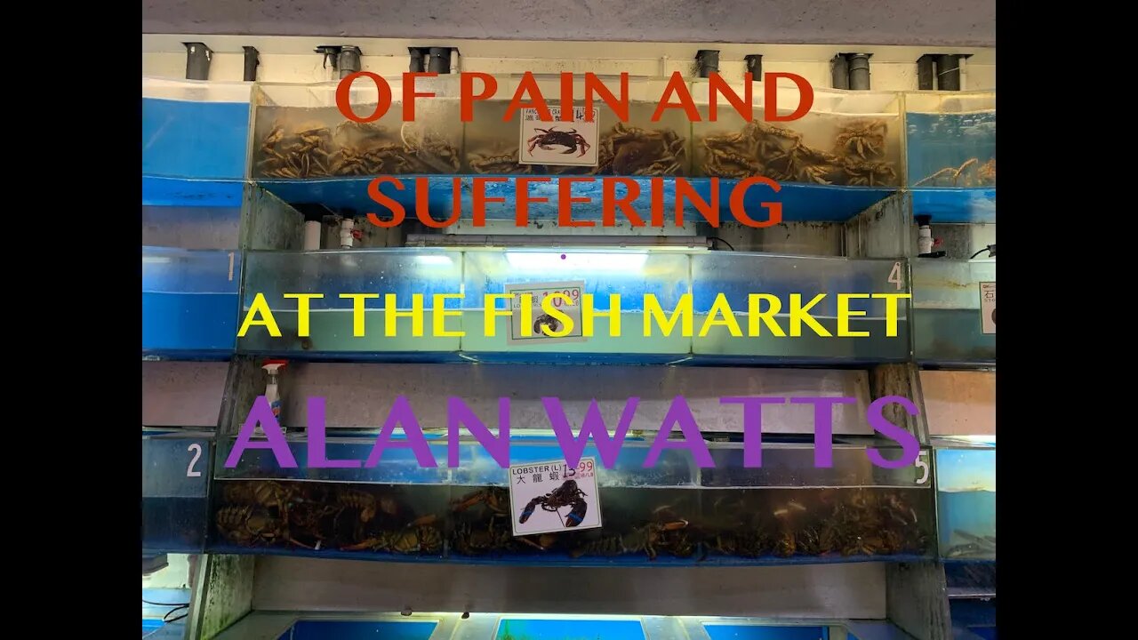 Of Pain and Suffering (At the Fish Market) - Alan Watts