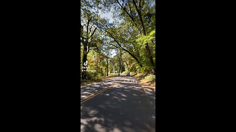 Downhill Longboard Cruising