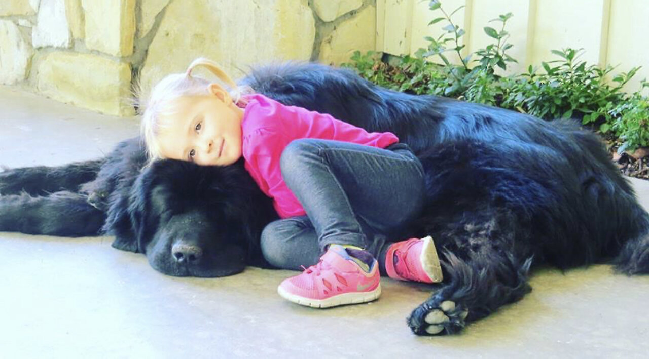 This little girl and her giant Newfoundland will make your day brighter