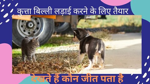 khatarnak janwar ki ladai || khatarnak janwar ki ladai video #animals #shorts