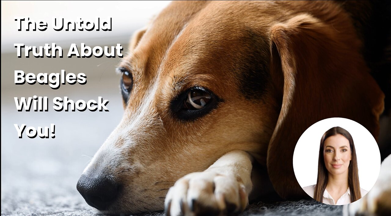 The Untold Truth About Beagles