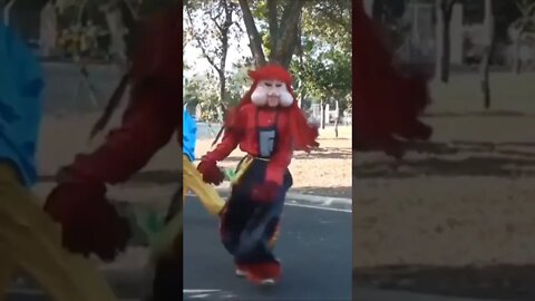 SUPER PULO NINJA DO FOFÃO, O MÁSKARA, PATATI E PATATÁ NA CARRETA DA ALEGRIA, LIKE