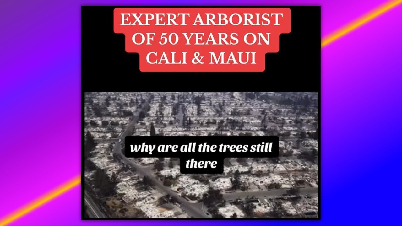 🚨NEW: EXPERT ARBORIST SPEAKS ABOUT THE LAHAINA, MAUI, HAWAII FIRES & CALIFORNIA FIRES