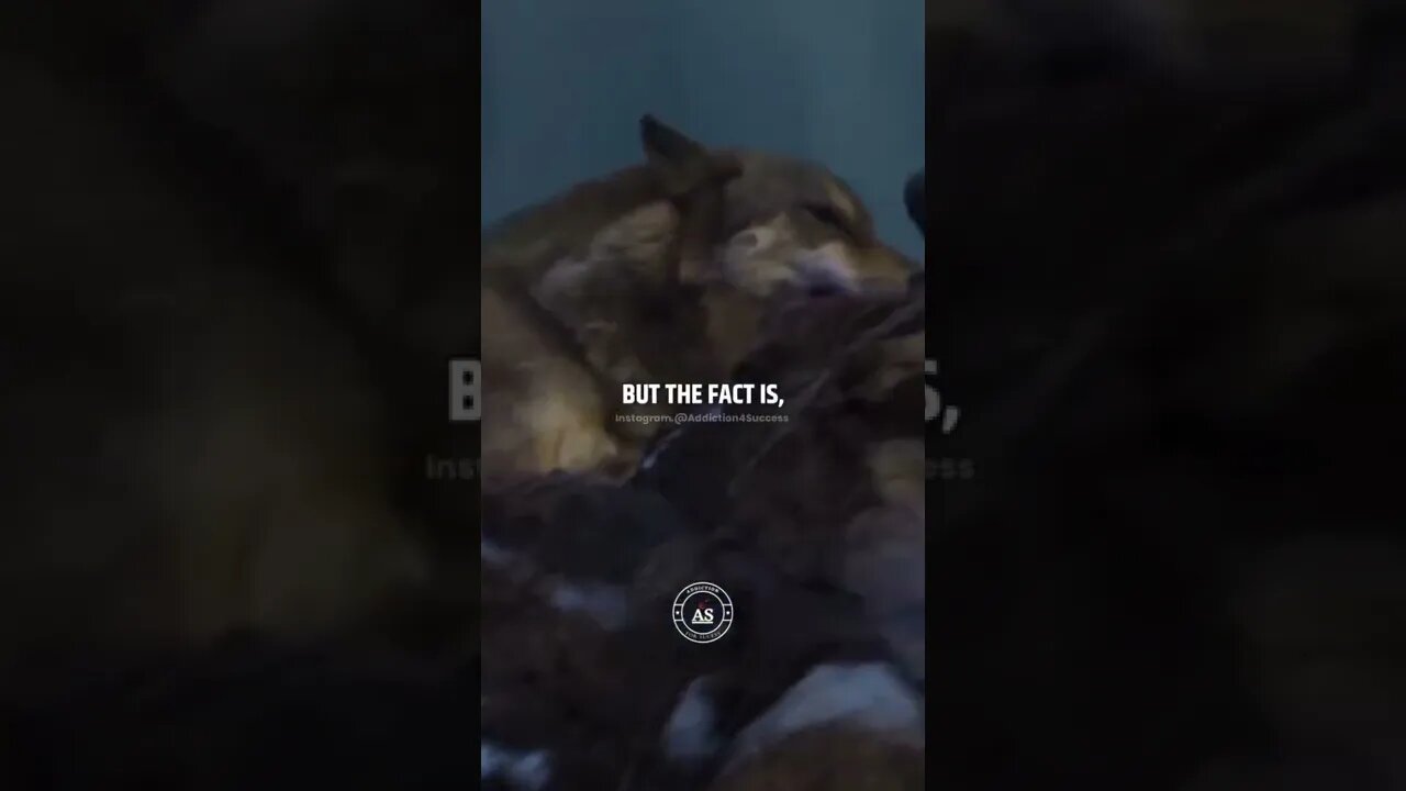 Just don't forget where is your place. Credits to @addiction4succes on I-gram. #shorts #shortsvideo