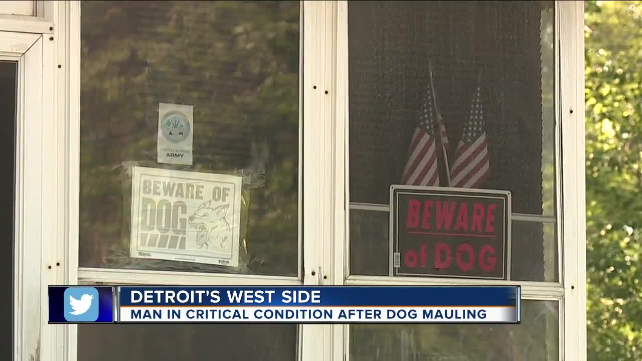 Man in critical condition after dog mauling