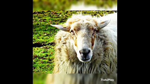 the journey - heembos Enschede 26 maart 2015