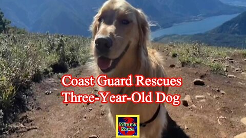 Coast Guard rescues three-year-old dog after 300 ft fall in Oregon