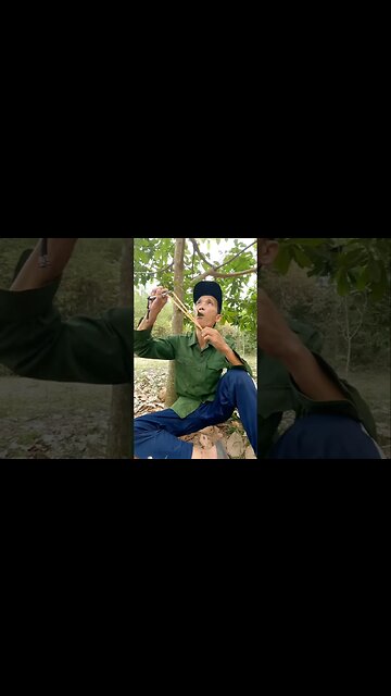 Tên sản phẩm: HATELI Lồng Chim Vẹt Đuôi Dài Phụ Kiện Nhà Chim Cho Vẹt Đuôi Dài Vẹt Đuôi Dài