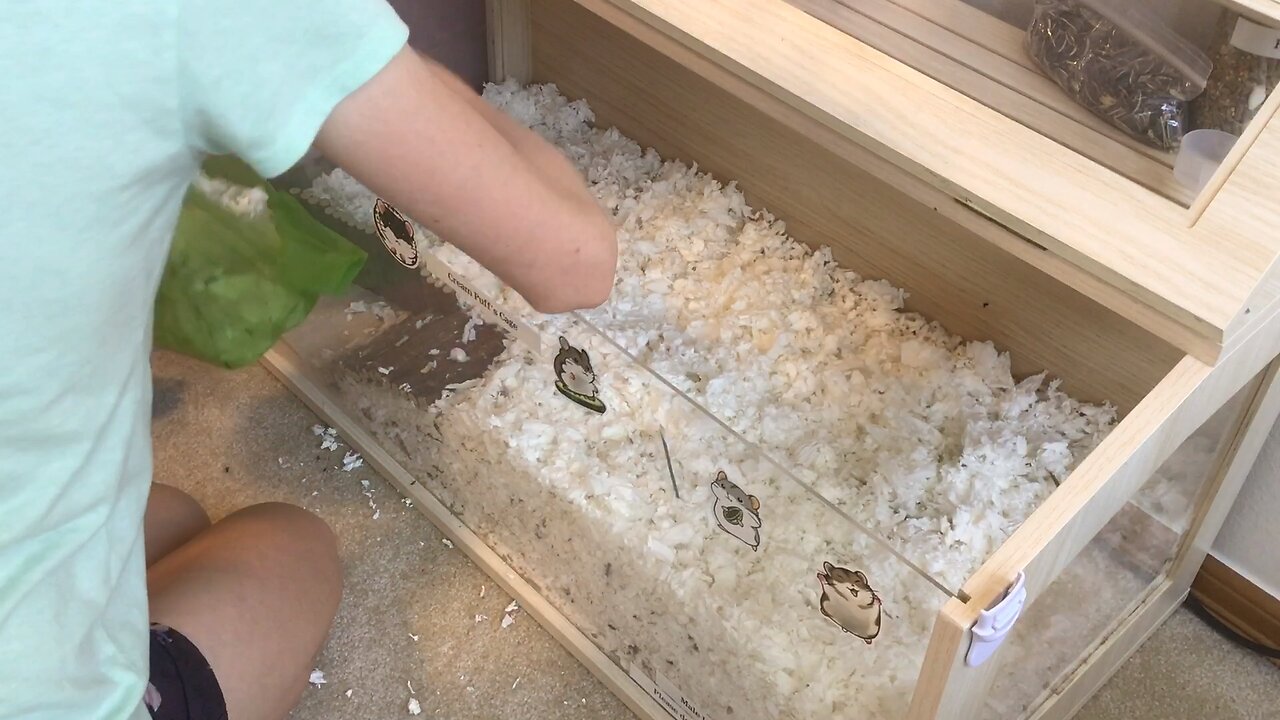 Remodeling My Hamster Cage! (New Enrichments!)