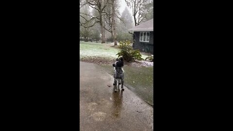 First time seeing snow