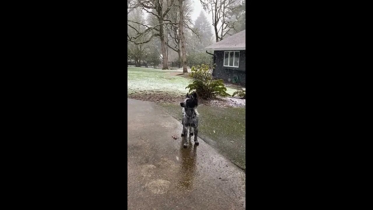 First time seeing snow