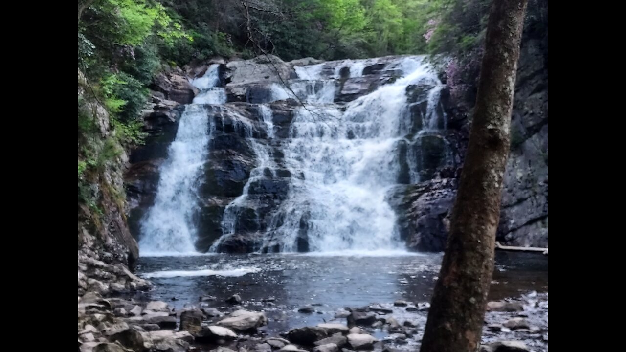 9. Appalachian trail thru-hike 2022. 19E-TN91, mile 395.3 - 449.1