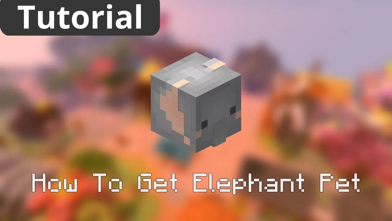 How To Get ELEPHANT PET in Hypixel Skyblock