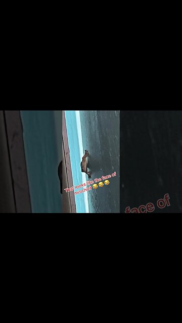 This Thing Scared Me!