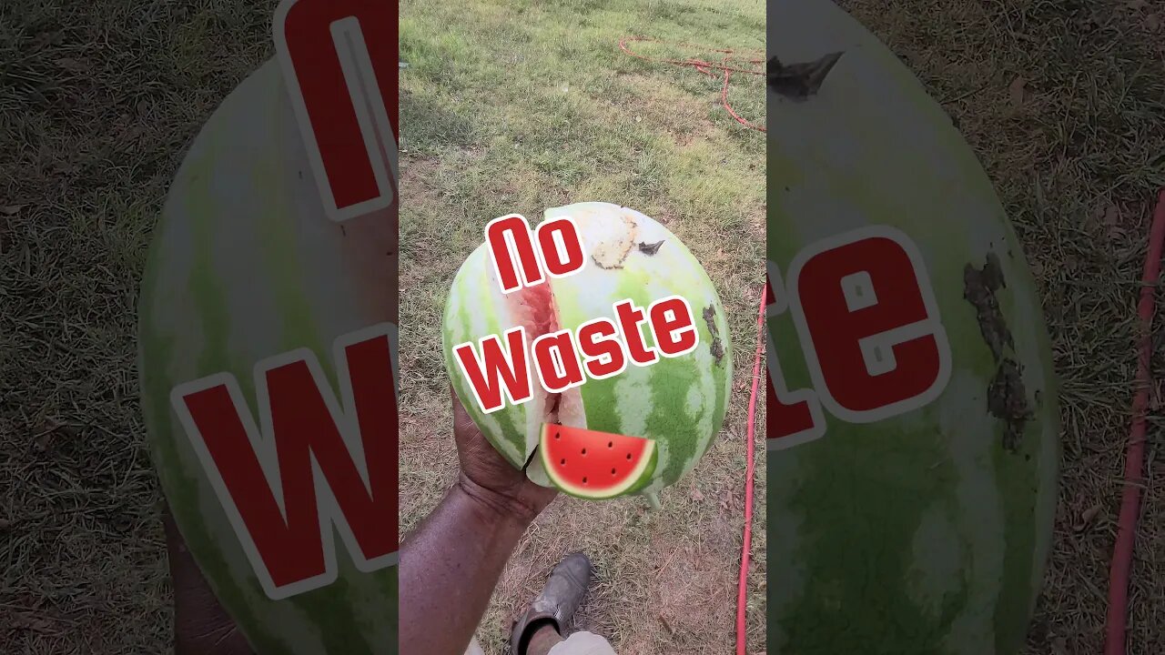 No Waste 🍉