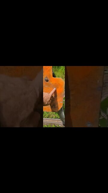 #aacammo #psa #5.56mm #77gammo #223 #bdc #bulletdrop