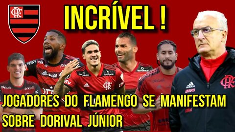 INCRÍVEL! JOGADORES DO FLAMENGO MANDAM MENSAGEM PARA DORIVAL JÚNIOR - É TRETA!!!