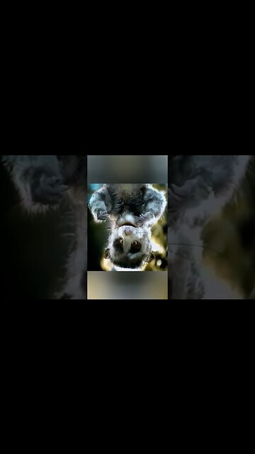 #shorts 🙈 Twinkies: Where's the Cream Filling? - Snack Commercial 1999