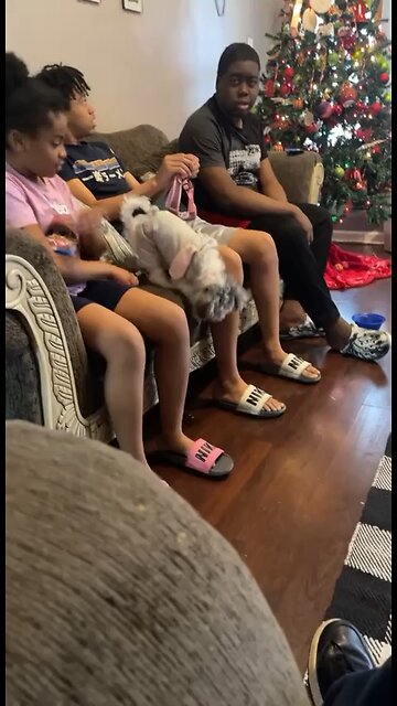 Merry Christmas 🤣