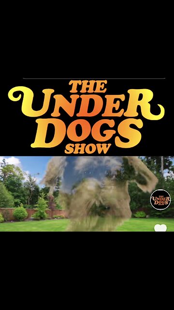 THE UNDER DOGS SHOW ~ HILARIOUS 😆