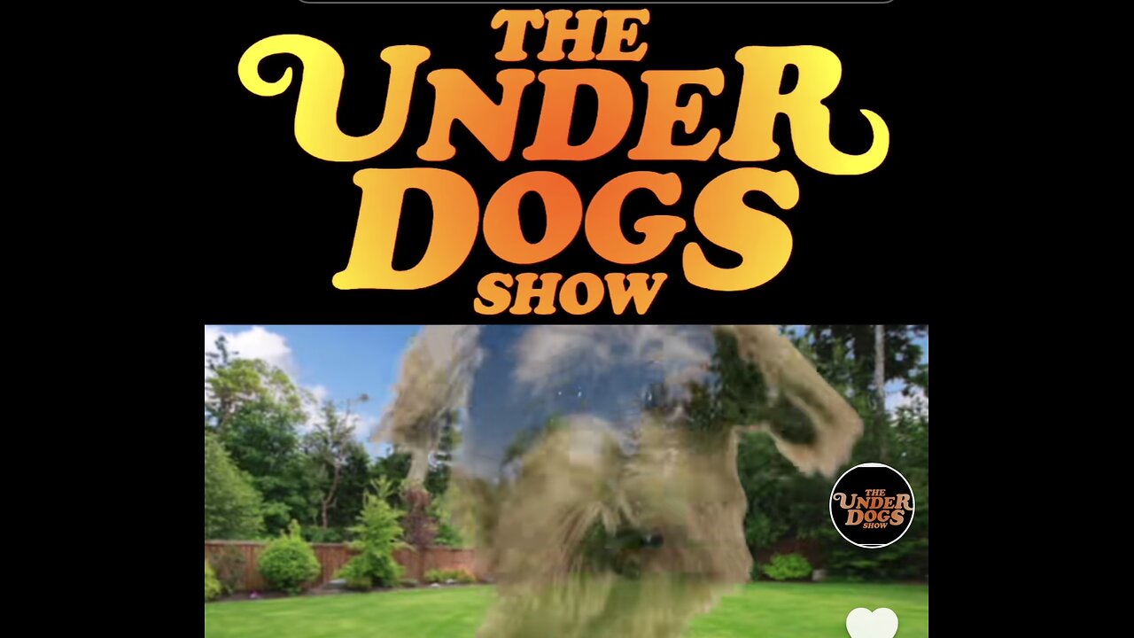 THE UNDER DOGS SHOW ~ HILARIOUS 😆