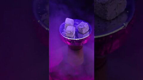 #shorts Scoria Coconut Coal And Blueberry Flavour || myscoria.in || #trending #hookahflavour