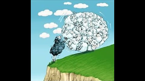 Baaaaa