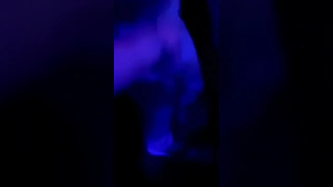 I party harder than anyone