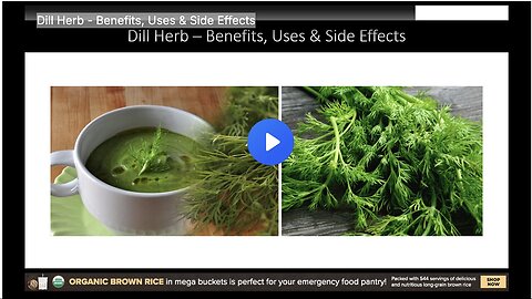 Dill Herb - Benefits, Uses & Side Effects