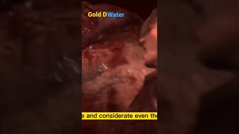 The return of the Fatty