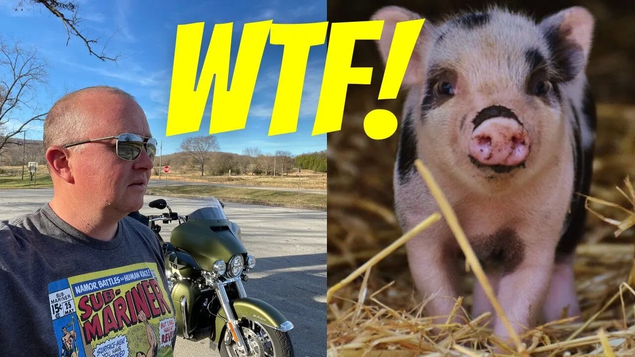 Crazy ride on my Harley Davidson Trike: Arkansas weird #shorts