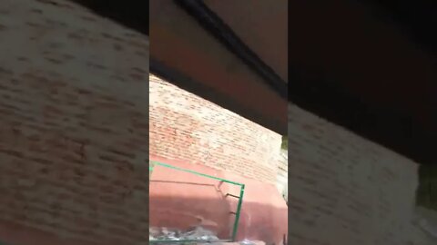 Heritage drive through Ahmedabad Fort