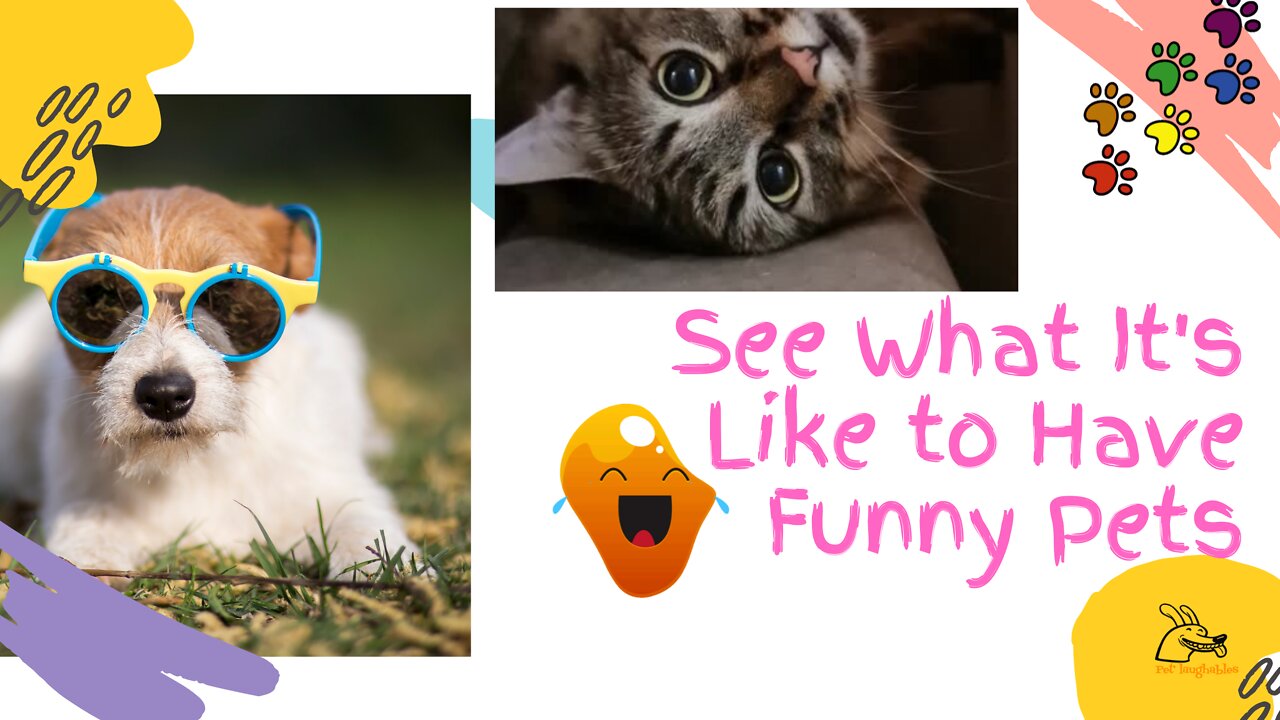 🤣 Funniest: 🐶 Dogs 😻 Cats and 👶 Babies - LOL Funny Pets, Animals, and Baby Videos 😇