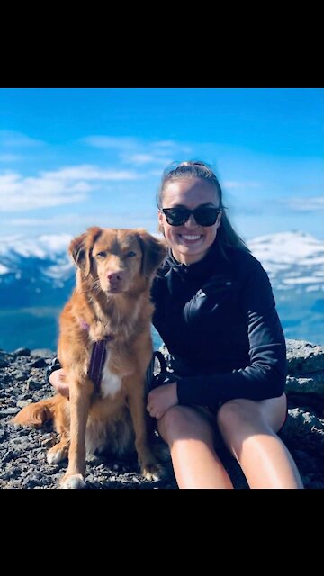 Wiii Funny Video For Cute Dog