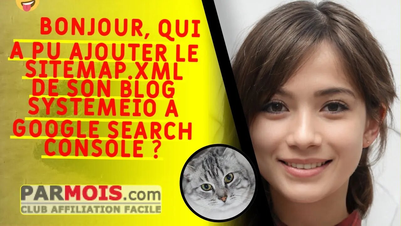 🤪 Bonjour, qui a pu ajouter le sitemap.xml de son blog SystemeIO à Google Search Console ? ...