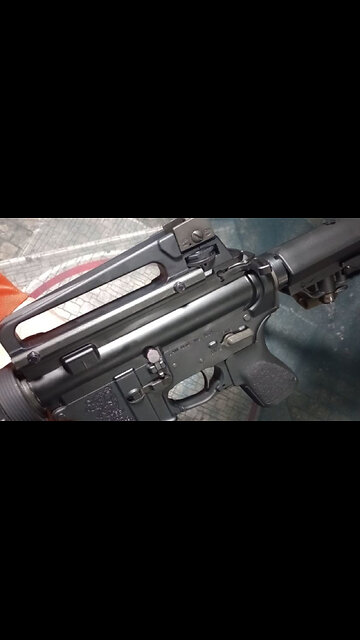 Palmetto State Armory Carry Handle Sight