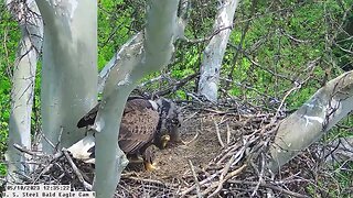 USS Bald Eagle Cam 1 5-10-23 @ 12:35 Claire brings in fish.