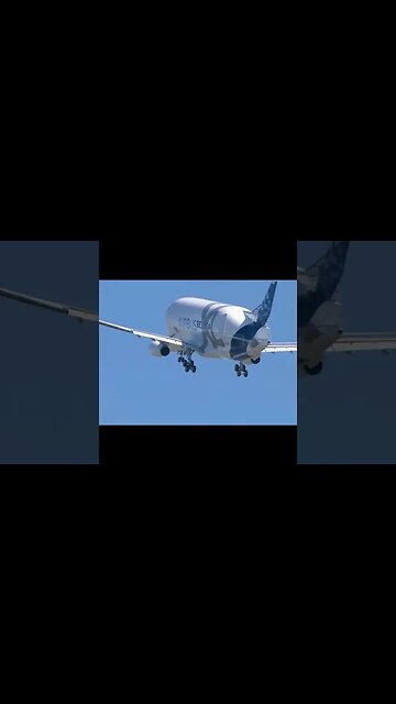 Watch This Flying Whale From Airbus - A330 BelugaXL Transporter
