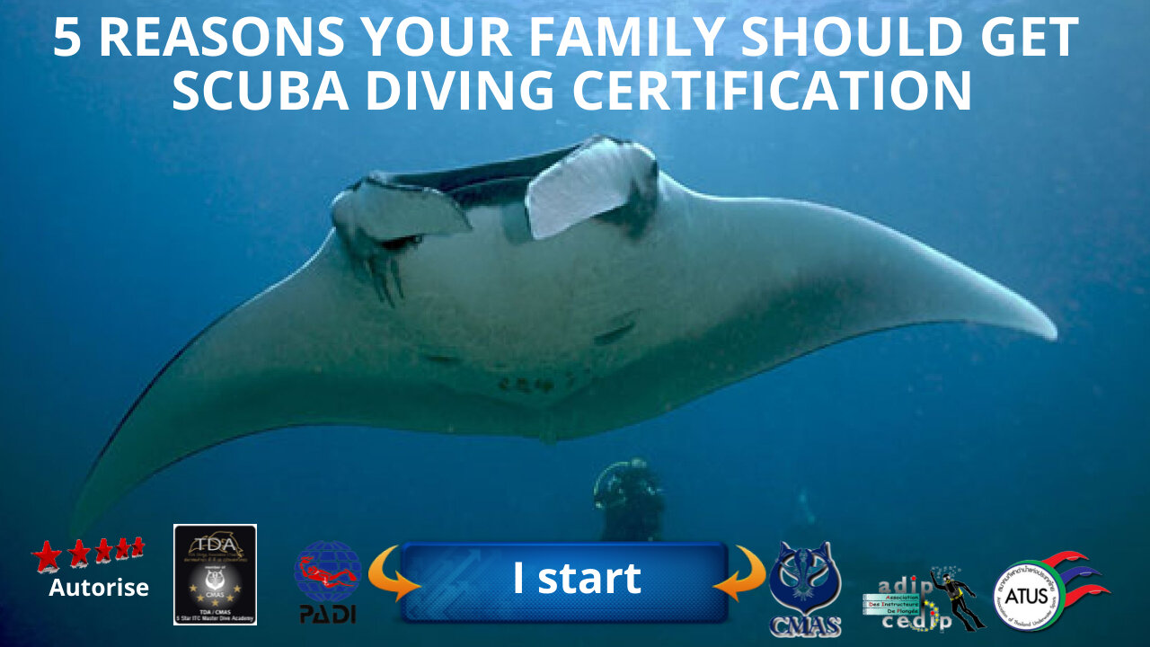 🤿 5 Reasons why Your Family Should Get Scuba Diving Certification