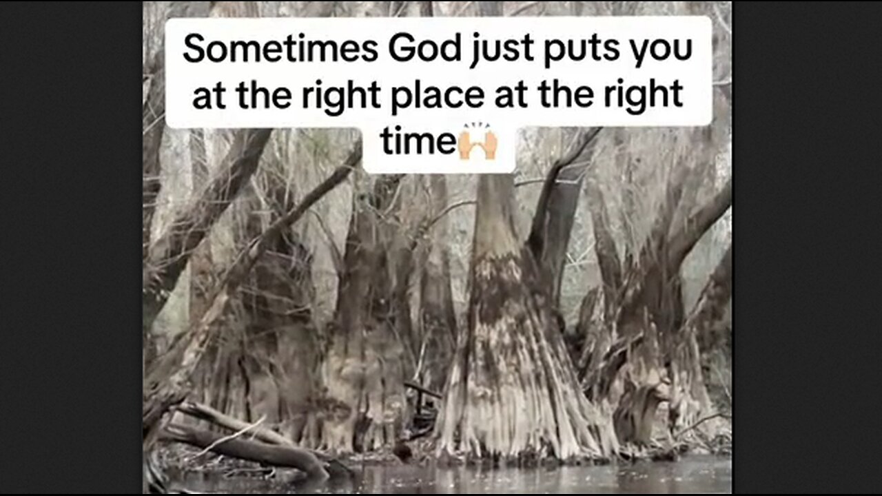 Sometimes God Puts You At The Right Place At The Right Time