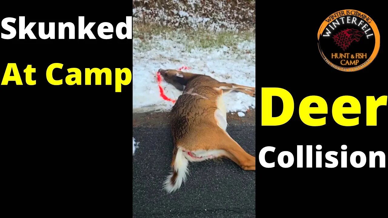 Lad From The Woods Deer Collision But Still Skunked At Camp