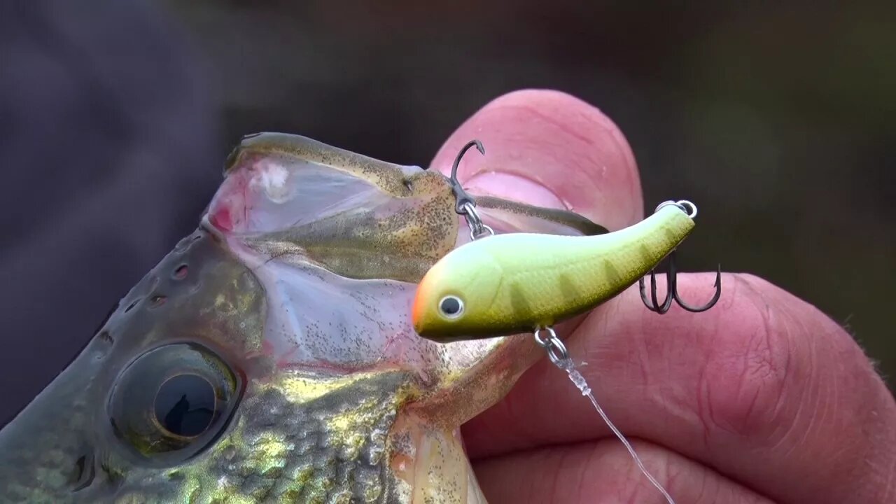 MidWest Outdoors TV Show #1672 - Tip of the Week on the Rapala Slab Rap.