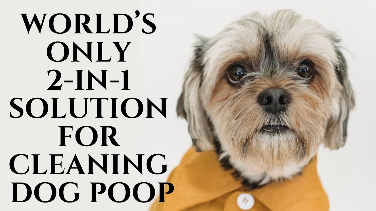 World’s only 2-in-1 solution for cleaning dog poop/Cool Gadget on Amazon You Should Buy/ Tech Gadget