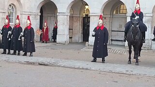 4 o'clock inspection with trumpet 🎺 player #horseguardsparade