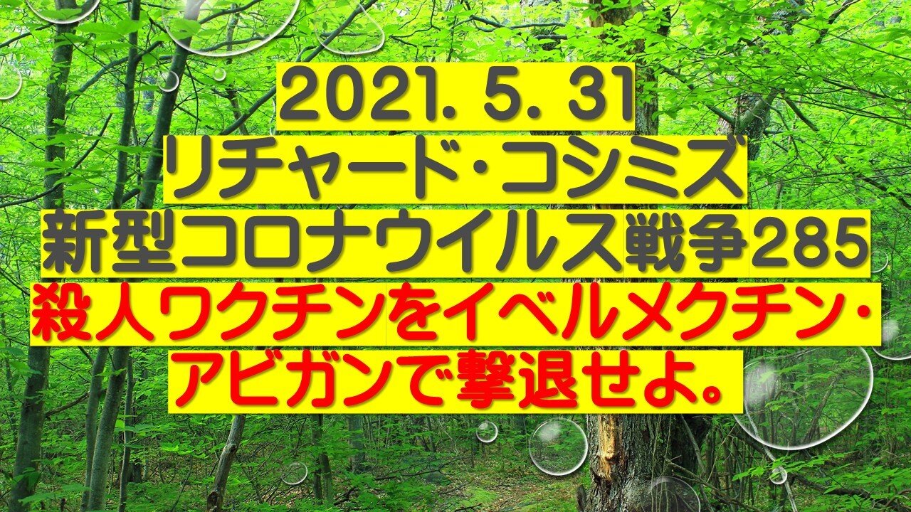 2021.05.31リチャード・コシミズ新型コロナウイルス戦争285