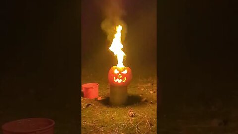 Flaming Pumpkin in the Back Yard