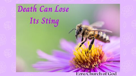 Death Can Lose Its Sting ~ I Corinthians 15:50-58