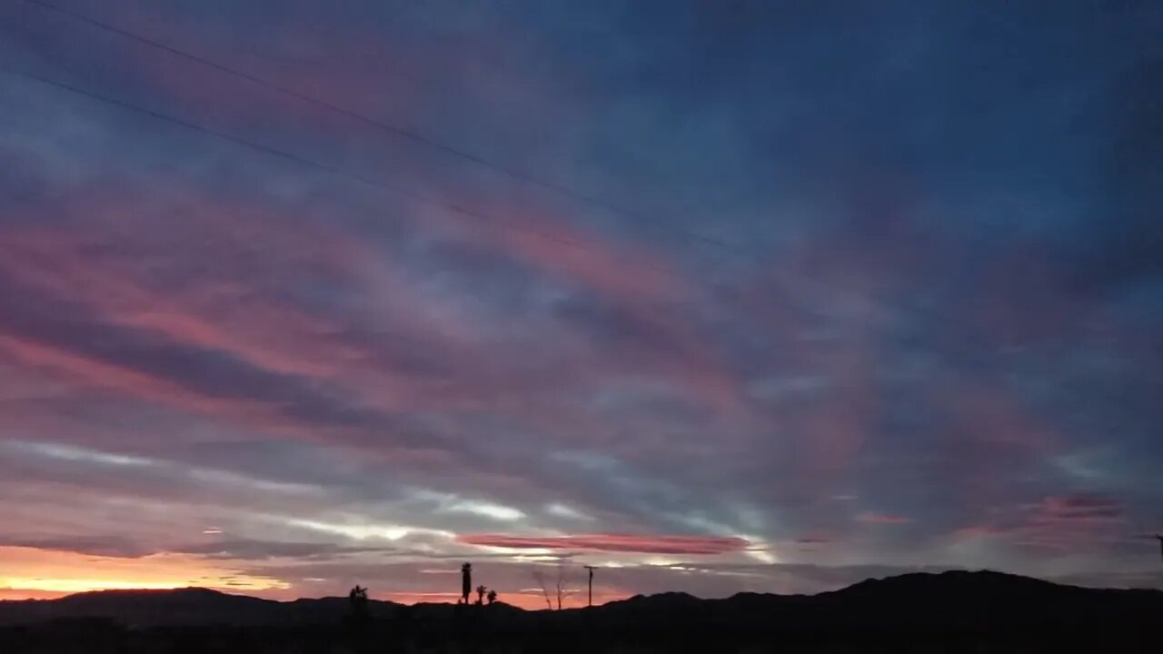 Good Morning From Sungrown Trichome